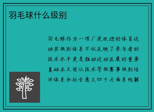 羽毛球什么级别